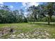 Large backyard with grassy area, mature trees, and road at 49 Fisher Way, Ocklawaha, FL 32179
