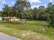 Spacious backyard with mature trees and grassy area at 49 Fisher Way, Ocklawaha, FL 32179