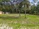 Large backyard with mature trees and grassy area at 49 Fisher Way, Ocklawaha, FL 32179