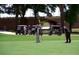 Golfers putting on a green with golf carts nearby at 9793 Sw 63Rd Loop, Ocala, FL 34481