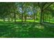 Spacious backyard surrounded by large trees with a house in the background at 1989 Nw 111Th Loop, Ocala, FL 34475