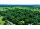 Aerial view of property highlighting its location in a wooded area at 1989 Nw 111Th Loop, Ocala, FL 34475