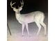 Image of a large whitetail buck, showcasing the abundant wildlife in the area at 7545 Ne 58Th Ave, Anthony, FL 32617