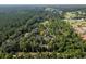 Aerial view of home on wooded lot, surrounded by lush trees and vegetation at 7545 Ne 58Th Ave, Anthony, FL 32617