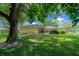 Large backyard with lush grass and mature trees at 5311 Se 15Th Ct, Ocala, FL 34480