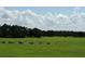 Sharpen your skills at the well-maintained driving range at 9240 Se 128Th Ln, Summerfield, FL 34491