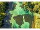 Aerial close-up view of a clear spring at 21389 Sw 102Nd Street Rd, Dunnellon, FL 34431