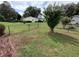 Spacious backyard with chain link fence and mature tree at 8750 Sw 116Th Place Rd, Ocala, FL 34481