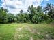 Open grassy area with mature trees and lush vegetation at 24750 Ne 177Th Ter, Fort Mc Coy, FL 32134