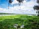 Scenic lake view with lush vegetation and a partly cloudy sky at 24750 Ne 177Th Ter, Fort Mc Coy, FL 32134