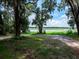 Peaceful lakefront property with lush greenery and oak trees at 24750 Ne 177Th Ter, Fort Mc Coy, FL 32134