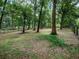 Spacious backyard with mature trees and grassy areas at 24750 Ne 177Th Ter, Fort Mc Coy, FL 32134