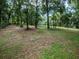 Large backyard with mature trees and a storage shed at 24750 Ne 177Th Ter, Fort Mc Coy, FL 32134