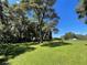 Green pasture with a large oak tree in the foreground at 9526 Sw 72Nd Ct, Ocala, FL 34476