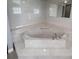 Bathroom with corner bathtub and marble-like finishes at 9526 Sw 72Nd Ct, Ocala, FL 34476
