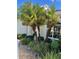 Mature palm trees and neatly landscaped flowerbeds add curb appeal at 5858 Nw 27Th Pl, Ocala, FL 34482