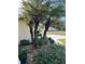 Landscaped area with palm trees and decorative shrubs at 5858 Nw 27Th Pl, Ocala, FL 34482