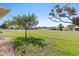 Spacious backyard overlooking a golf course at 12333 Se 177Th Loop, Summerfield, FL 34491