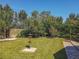 Large backyard with grassy lawn, bird feeder, and a brick walkway at 13166 Se 86Th Cir, Summerfield, FL 34491