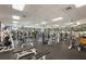 Well-equipped fitness center with various exercise machines at 9450 Se 130Th Place Rd, Summerfield, FL 34491