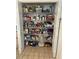 Large pantry with ample shelving for storage at 11051 Sw 73Rd Ct, Ocala, FL 34476