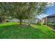 Large backyard with lush grass and mature trees at 17789 Se 113Th Ter, Summerfield, FL 34491