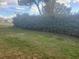 Backyard with lush greenery and a grassy area at 6484 Sw 111Th Pl, Ocala, FL 34476