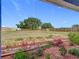 Large backyard with fenced perimeter and mature trees at 17 Locust Lane Ter, Ocala, FL 34472