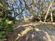 Spacious backyard with mature oak trees and lush grass at 45202 Nfs Rd 572-B, Altoona, FL 32702