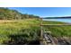 Wooden dock with lake access and tall grass at 45202 Nfs Rd 572-B, Altoona, FL 32702