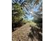 Private dock offering serene lake views at 45202 Nfs Rd 572-B, Altoona, FL 32702