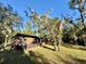 Dark brown cabin with deck and lush trees at 45202 Nfs Rd 572-B, Altoona, FL 32702