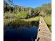 Long wooden dock extending over calm water, surrounded by tranquil nature at 45202 Nfs Rd 572-B, Altoona, FL 32702