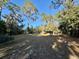 Open yard with a view of the cabin at 45202 Nfs Rd 572-B, Altoona, FL 32702