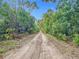 Long private driveway leading to secluded property at 21500 Sw 33Rd St, Dunnellon, FL 34431