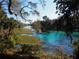 Crystal-clear river with lush vegetation and recreational activities at 7535 Sw 185 Avenue Rd, Dunnellon, FL 34432