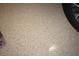 Epoxy coated garage floor with speckled finish at 13091 Sw 77Th Ct, Ocala, FL 34473