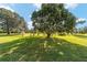 Spacious backyard with large tree and lush green grass at 1409 Meadow View Way, Lady Lake, FL 32159