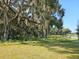 Backyard with large oak trees and Spanish moss at 8469 Las Palmas Way, Wildwood, FL 34785