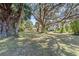 Large backyard showcasing mature trees and lush greenery at 3590 Sw 24Th Avenue Rd, Ocala, FL 34471