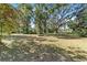Large grassy backyard with mature oak trees providing shade at 3590 Sw 24Th Avenue Rd, Ocala, FL 34471