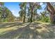 Spacious backyard with large oak trees and grassy area at 3590 Sw 24Th Avenue Rd, Ocala, FL 34471