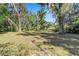Spacious backyard with large oak trees and grassy area at 3590 Sw 24Th Avenue Rd, Ocala, FL 34471