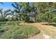 Expansive backyard with lush landscaping and mature trees at 3590 Sw 24Th Avenue Rd, Ocala, FL 34471