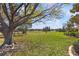 Peaceful backyard view overlooking a lush golf course at 9083 Sw 99Th Court Rd, Ocala, FL 34481