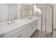 Double vanity bathroom with large shower and modern fixtures at 10338 Sw 99Th Ln, Ocala, FL 34481