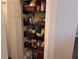 Well-organized pantry with ample shelving for storage at 17 Pecan Crse Dr, Ocala, FL 34472