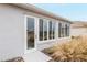 Back exterior with windows and landscaping at 8916 Sw 78Th Street Rd, Ocala, FL 34481