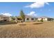 Large backyard with grass and a small tree at 9725 Sw 108Th Terrace Rd, Ocala, FL 34481