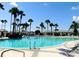 Inviting resort-style pool surrounded by palm trees at 12152 Se 91St Ave, Summerfield, FL 34491